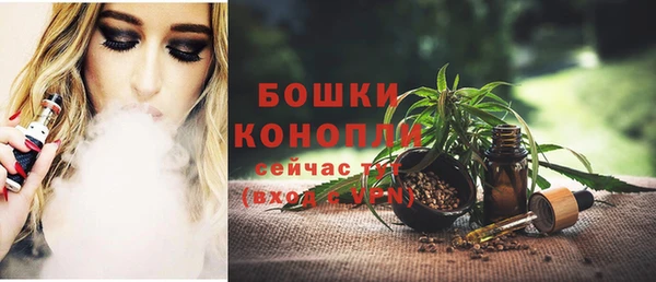 шишки Пролетарск