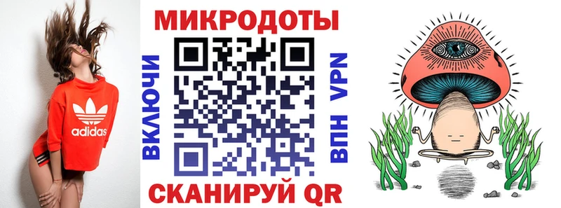 Псилоцибиновые грибы Psilocybe Муром