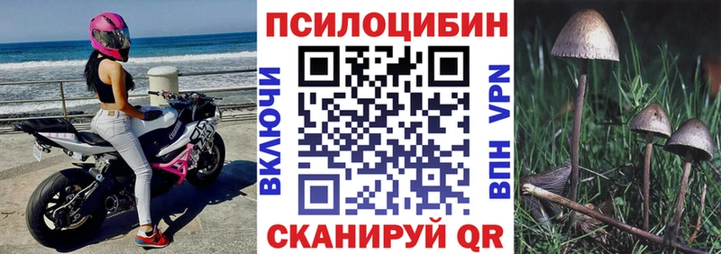Псилоцибиновые грибы GOLDEN TEACHER  магазин    Муром 