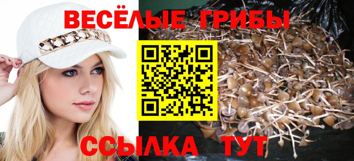 Псилоцибиновые грибы Psilocybine cubensis Муром